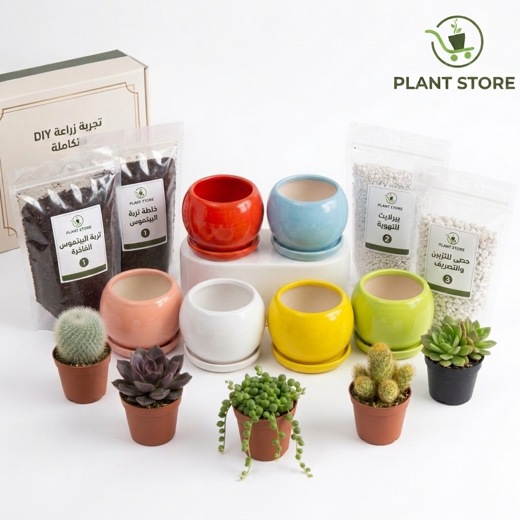 طقم أصص صغيرة للعصاريات - Mini Succulent Pot Set