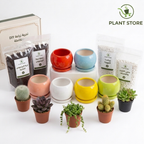 طقم أصص صغيرة للعصاريات - Mini Succulent Pot Set