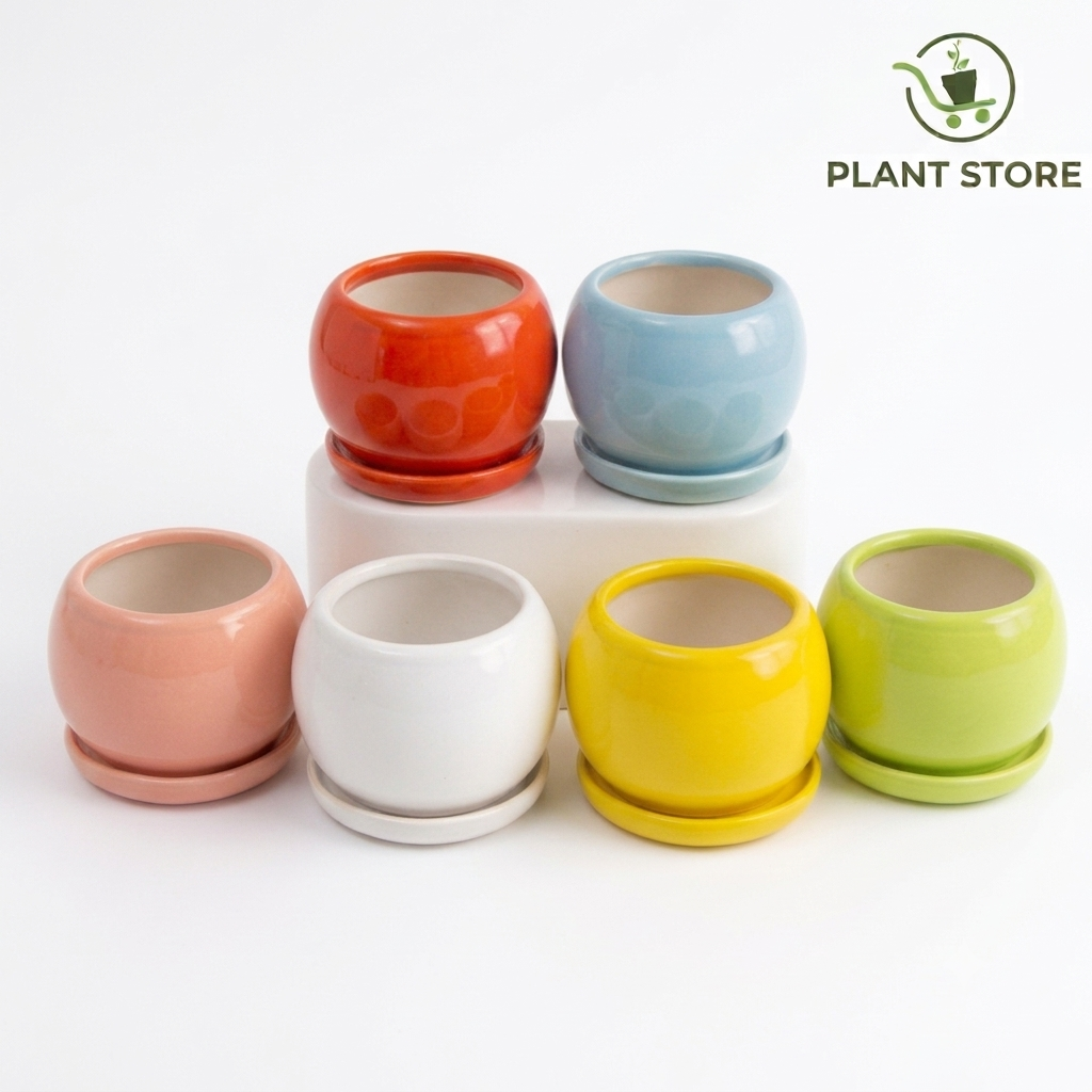 طقم أصص صغيرة للعصاريات - Mini Succulent Pot Set