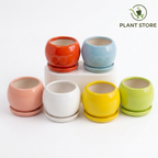 طقم أصص صغيرة للعصاريات - Mini Succulent Pot Set